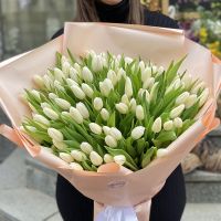 Белые тюльпаны (101 шт) Амтцелль