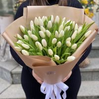 51 white tulips Syr Darya