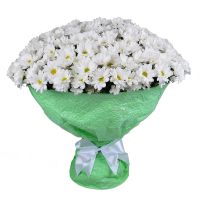 Big bouquet of chrysanthemums Rovno