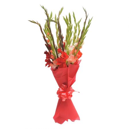  Bouquet Red ribbon
                            