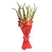  Bouquet Red ribbon Tobago Island
                            