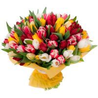 Bouquet of 75 toulips Genappe