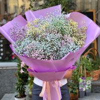 Bouquet of rainbow baby's breath Urumqi