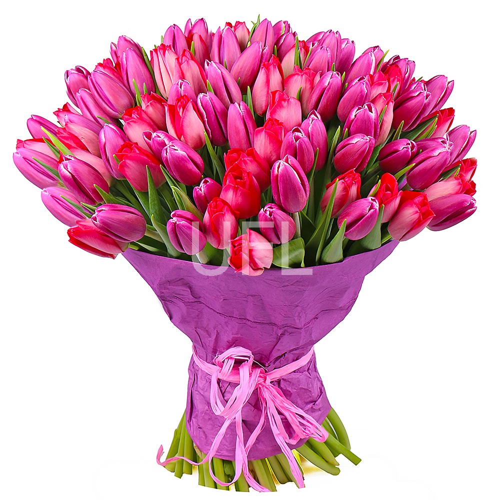 Bouquet of tulips (101 pcs.) Bouquet of tulips (101 pcs.)