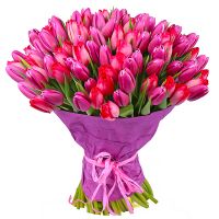 Bouquet of tulips (101 pcs.) Orhei