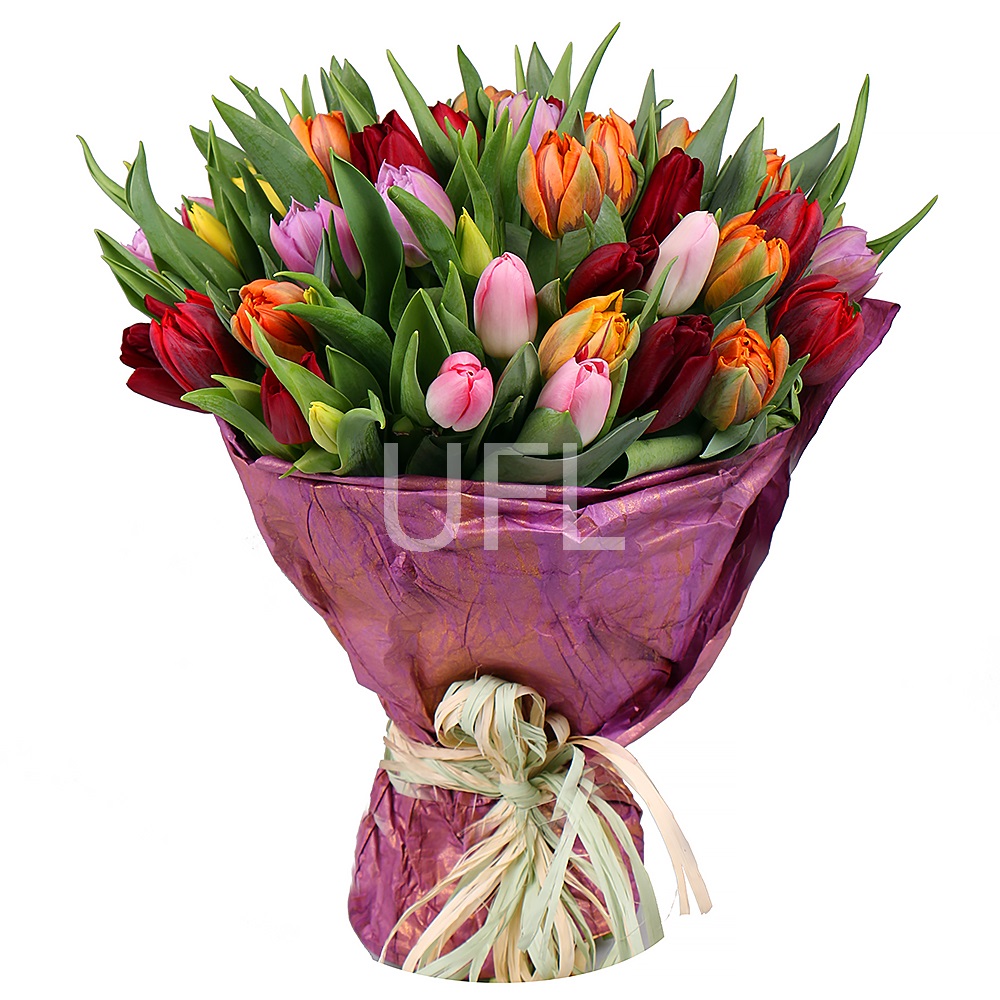  Bouquet Tulips 45
													