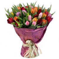  Bouquet Tulips 45 Naarden
														