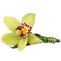  Bouquet Boutonniere Exotic  Kostanay
                            
