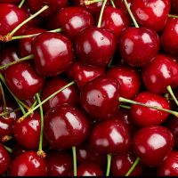 Cherry as a gift Saldus