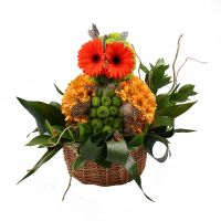Букет квітів Диво-сова  Куала-Лумпур
														