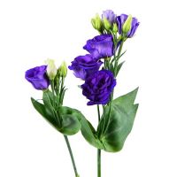 Purple eustoma by the piece Letichev