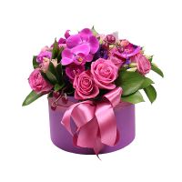 Flower box Famingo Kentlyn