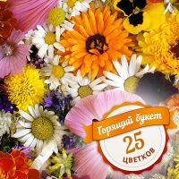 Hot bouquet of 25 flowers Grodno