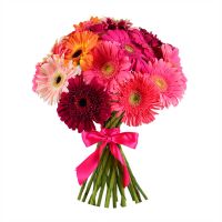  Bouquet With gerberas Stariy_sambir
														