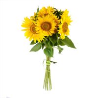  Bouquet Of sunflowers Chernovtsy
                            