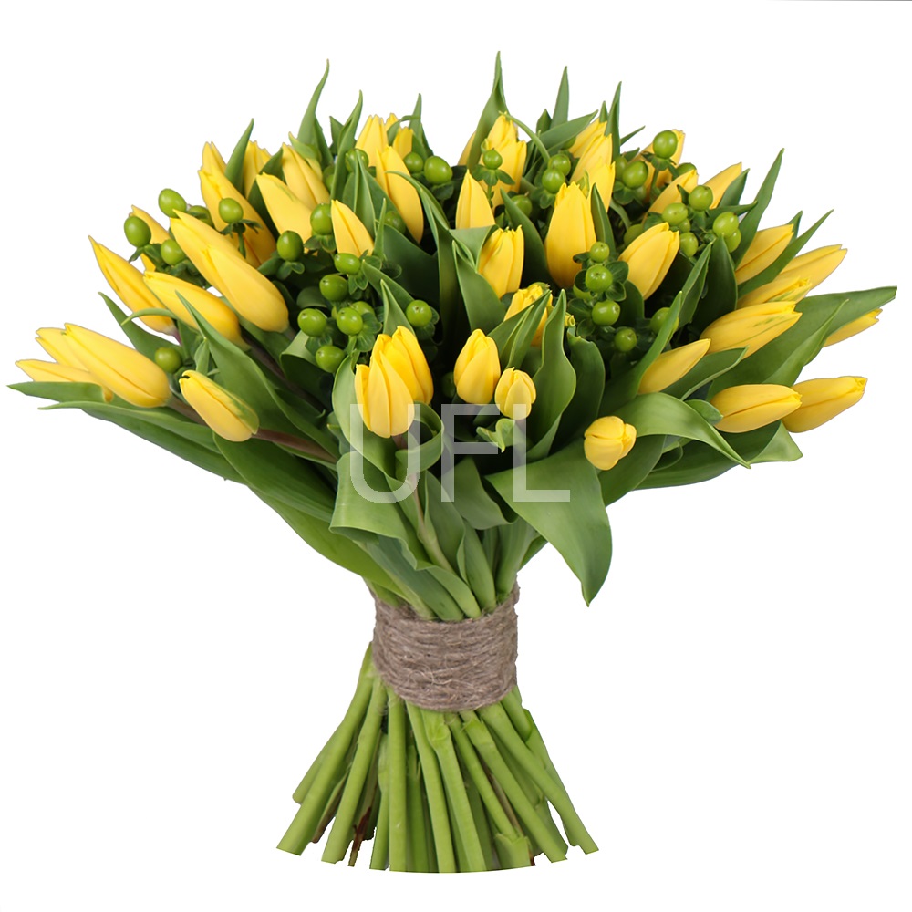 Жовті тюльпани 51 Жовті тюльпани 51