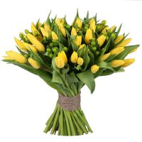 Yellow tulips 51 Sumy
