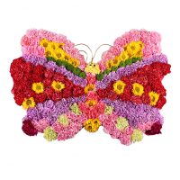  Bouquet Flower Butterfly Yevlakh
                            
