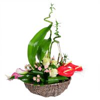 Букет цветов Парус Гиссен
														
