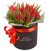 Box with tulips Slavyansk