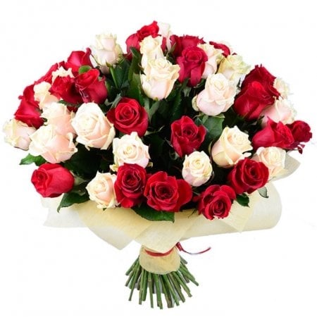 Red and cream roses (51 pcs.)