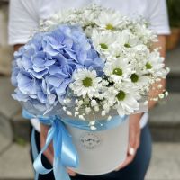  Bouquet Azure morning Uzhniy
                            