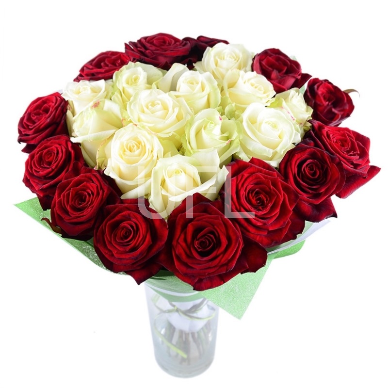 25 красно-белых роз Хуан-лес-Пинс