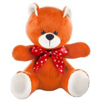  Bouquet Teddy Ted Ruppur
														