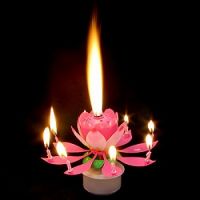 Musical Candle Lotus Fudgeyra