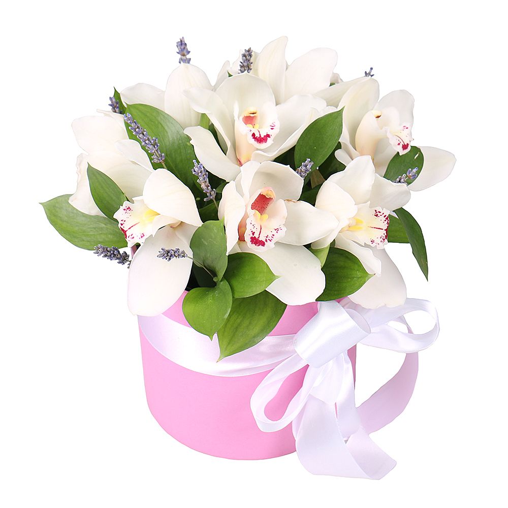 Flower box Tenderness of orchids