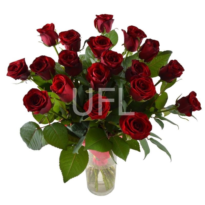 19 red roses