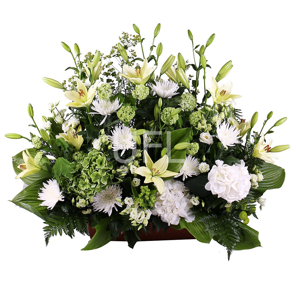 Basket of white flowers Melton