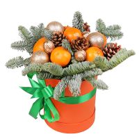 Christmas box with tangerines  Bobruisk