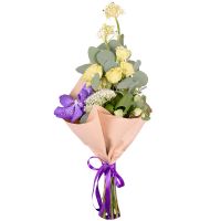  Bouquet Vanda allurement Litija
                            