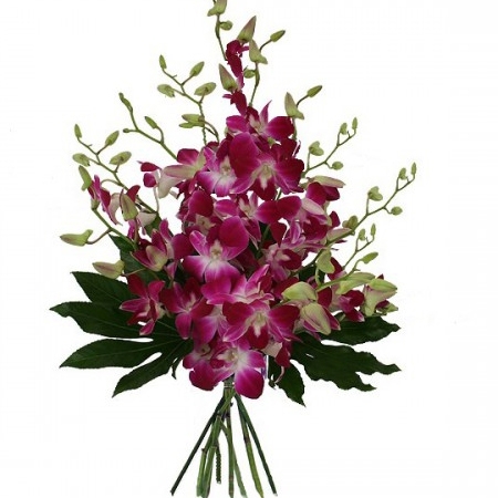  Bouquet Purple Exotic
													