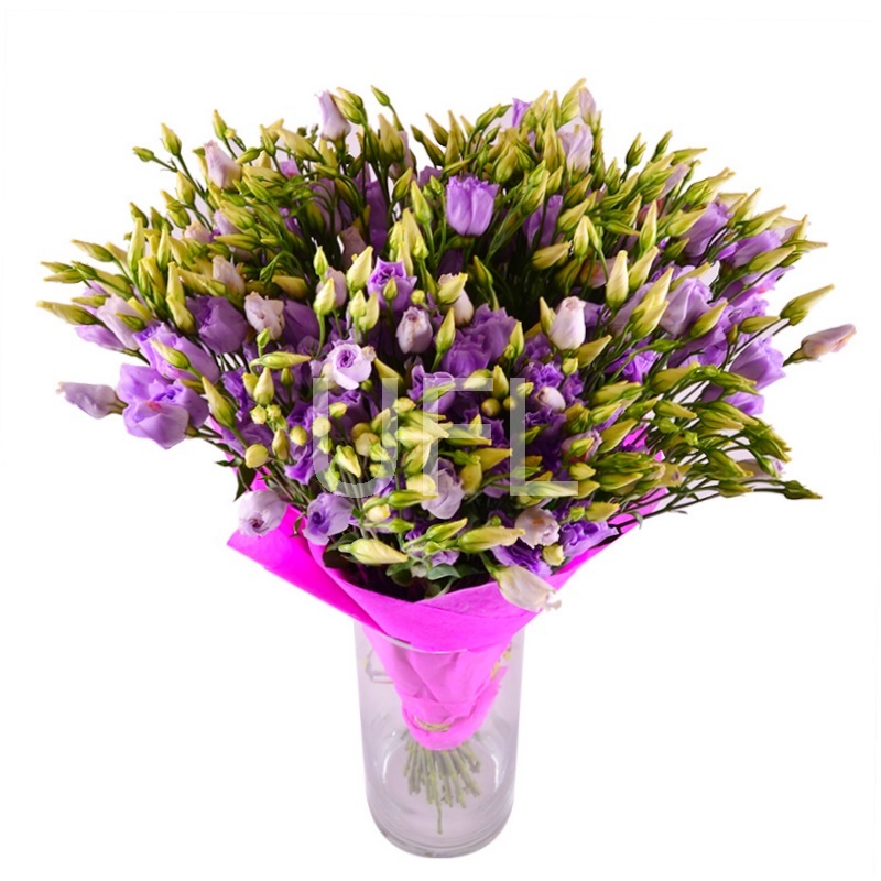 Bouquet of flowers Purple
                            