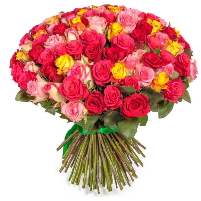 Multicolored roses 101 pcs Medenychy