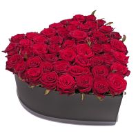 51 троянда в коробці Асті Авелліно