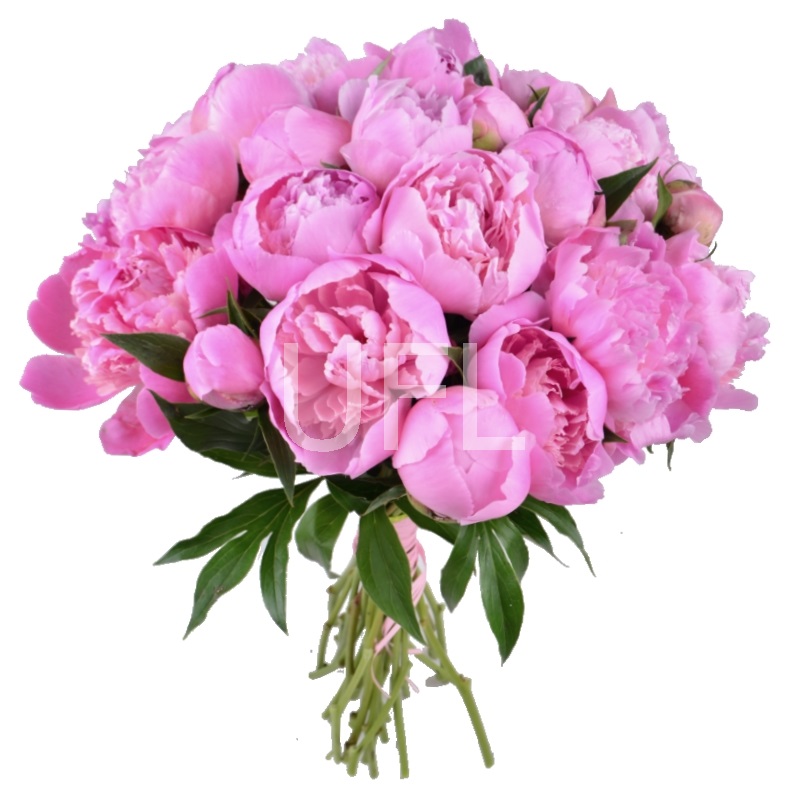  Bouquet Pink peonies
													