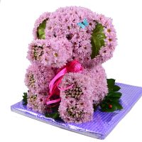  Игрушка из цветов - Розовый слон Фрибург