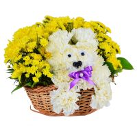 Puppy in a Basket of Flowers Montevideo