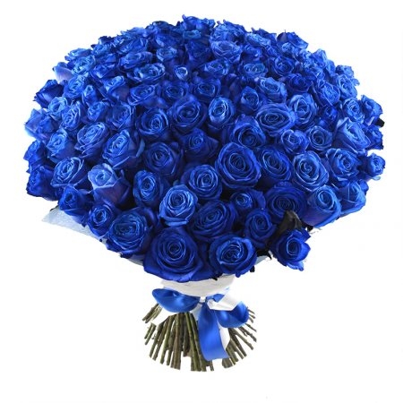 101 blue roses 101 blue roses