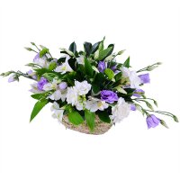  Bouquet For co-worker Msida
                            