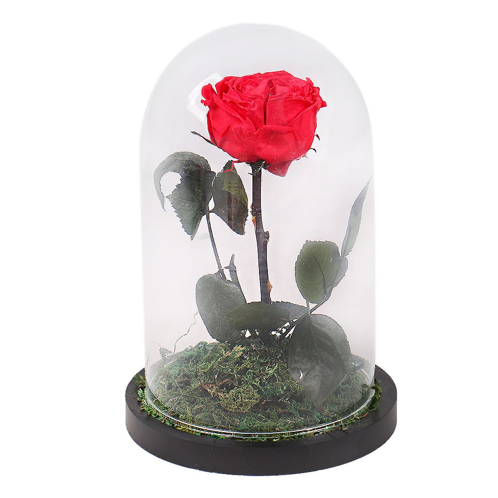 Stabilized Red Rose in a Flask Stabilized Red Rose in a Flask