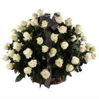 Funeral basket of roses Aviatorskoye