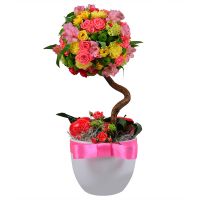  Bouquet Flower tree Mamaliga
														