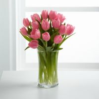 A Vase of Tulips Paris
