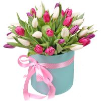 31 Tulips in a box Amvrosievka