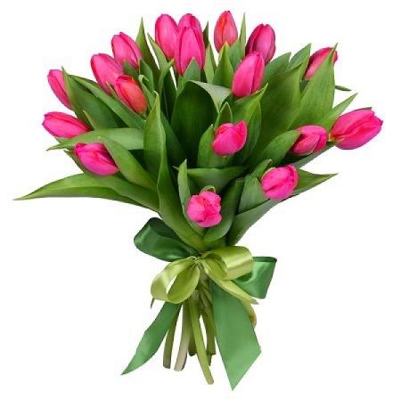 Весеннее предложение 19 розовых тюльпанов Весеннее предложение 19 розовых тюльпанов