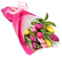 Весняний привіт 11 тюльпанів Пугачени